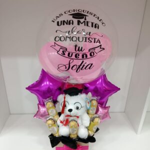 Box Bubble Graduado Teddy & Ferrero Premium