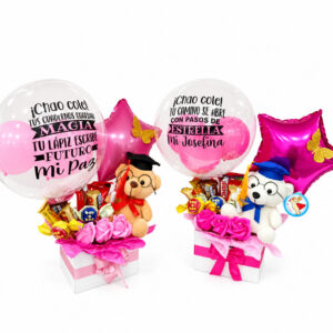 Box Teddy Graduado Bubble